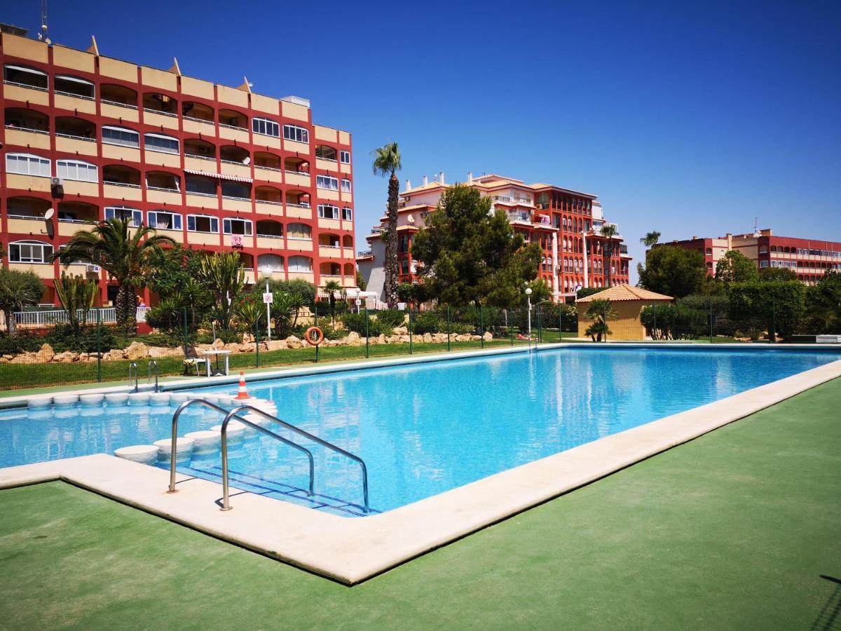 Studio With Terrace And Pool Torrevieja Dış mekan fotoğraf