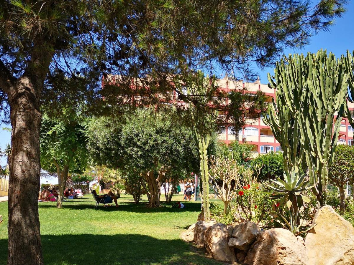 Studio With Terrace And Pool Torrevieja Dış mekan fotoğraf
