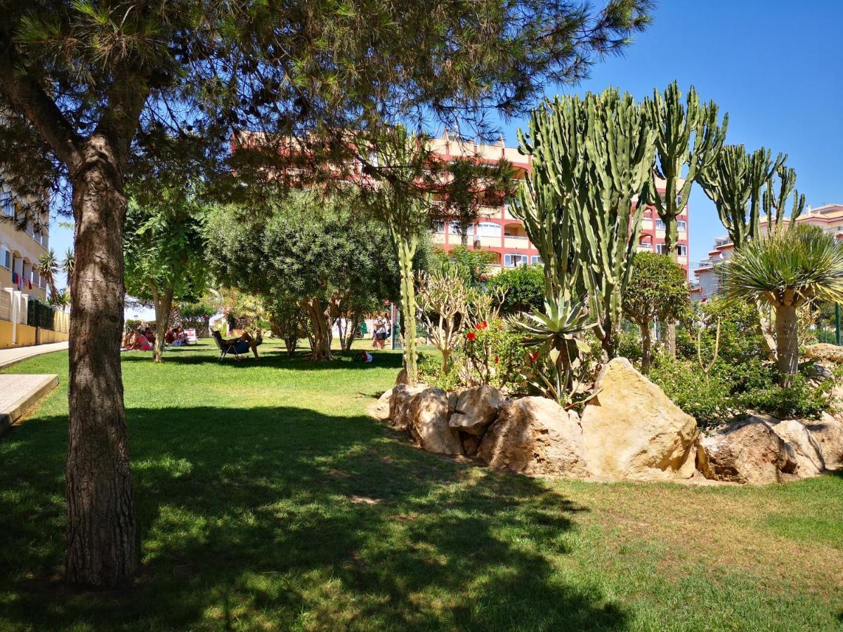Studio With Terrace And Pool Torrevieja Dış mekan fotoğraf