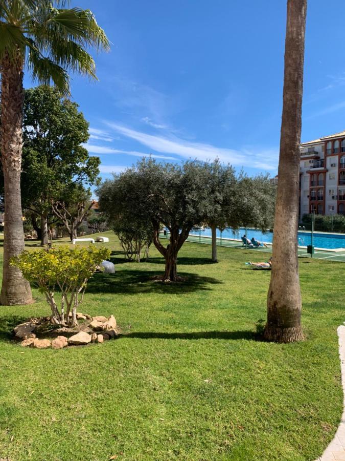 Studio With Terrace And Pool Torrevieja Dış mekan fotoğraf